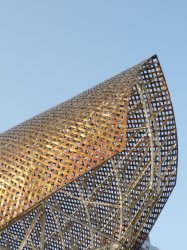 P1030281